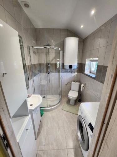 a bathroom with a shower and a toilet and a sink at Słoneczny Domek in Podgórzyn