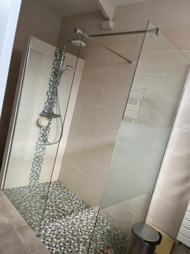 een douche met een glazen deur in de badkamer bij Charme moderne in Le Val-Saint-Germain