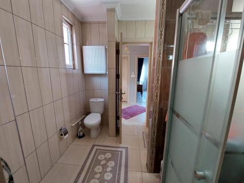 Villa Mercury (4 bedrooms and air conditioning) في طرابزون: حمام صغير مع مرحاض ودش