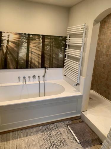 a bathroom with a bath tub and a window at Hamiora wellness B&B in Deinze