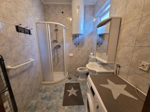 a bathroom with a shower and a toilet and a sink at Apartments Dragon in Umag