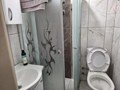 a small bathroom with a toilet and a sink at Hamsiköy doğada dubleks konaklama in Macka
