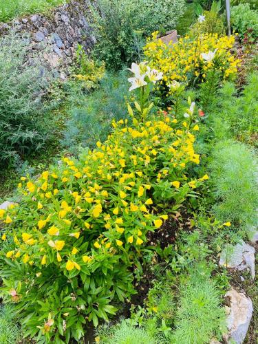 a flower garden with yellow and white flowers at Unaqua Apartments in Kulen Vakuf