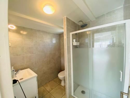 une salle de bain avec douche et toilettes dans l'établissement Magnifique appartement climatisé + accès piscine, à Puissalicon