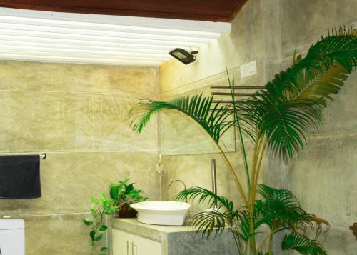 baño con aseo y plantas. en Rukmale gedara Bungalow en Pannipitiya