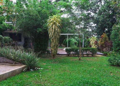 En trädgård utanför Rukmale gedara Bungalow