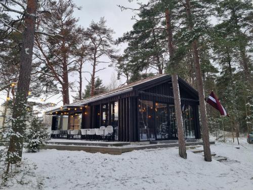 a black house in the woods in the snow at Angren Albatross, SEA & SPA in Ķesterciems