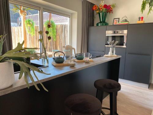 a kitchen with a counter with plants on it at Suite Spot Houten in Houten