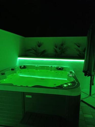 Villa Olive tree with jacuzzi