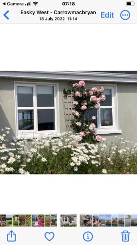 una foto de una casa con una ventana y flores en Wild Atlantic View, en Sligo