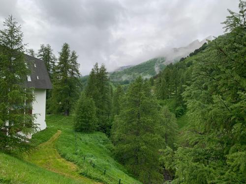 Príroda v okolí apartmánu