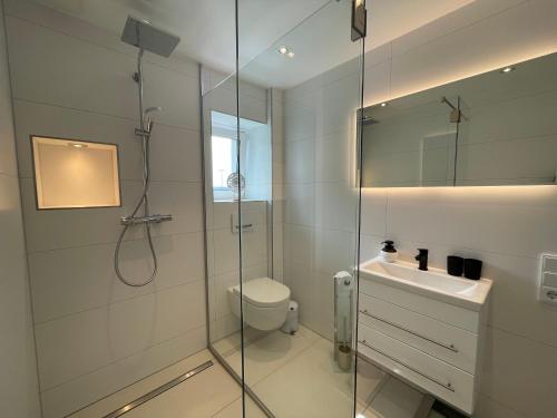 a bathroom with a shower and a toilet and a sink at FeWo „Am alten Eifelhaus“ in Monschau