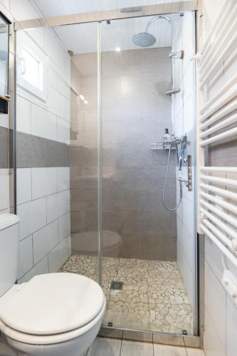 une salle de bain avec toilettes et douche dans l'établissement La Teste hypercentre !au calme proche prés-salés, à La Teste-de-Buch