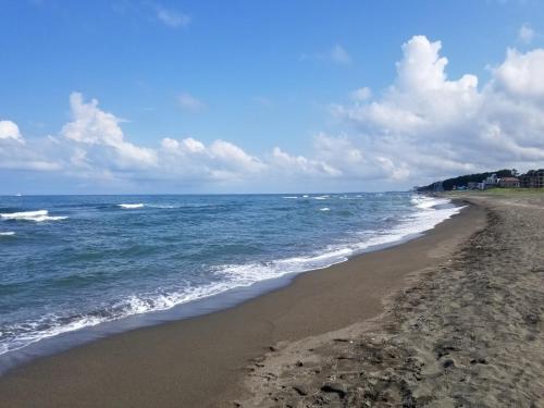 a beach with the ocean on a cloudy day at shekvetili in Shekvetili