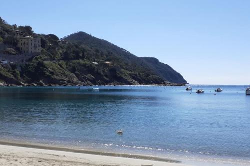 a body of water with a beach and a mountain at Flat with sea view and garden in Framura