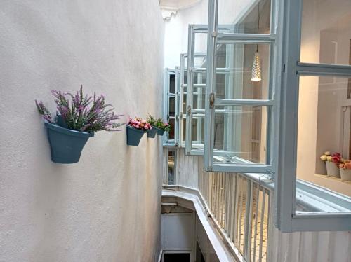 un couloir avec deux plantes en pot et une fenêtre dans l'établissement Precioso Apartamento: La Luz de Cádiz, à Cadix