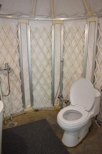 a bathroom with a toilet in a room at Roomy Yurts, Gulmit Hunza in Gulmit