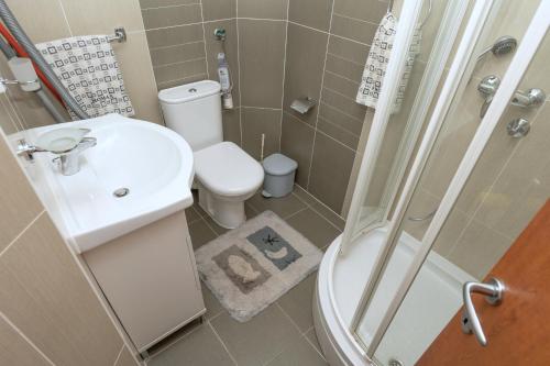 a bathroom with a toilet and a sink and a shower at Irisa Art in Makarska