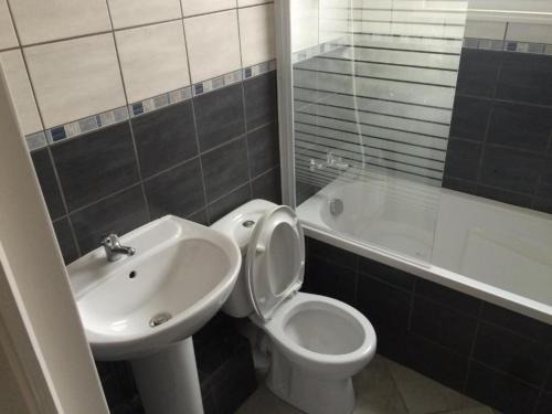 La salle de bains est pourvue de toilettes blanches et d'un lavabo. dans l'établissement HOMESTAY LILLE, à Lille