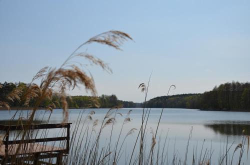 a bench sitting on the side of a lake at Dworek nad Jeziorem Wądzyn in Bobrowo