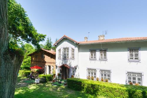 a white house with a green yard and trees at Dworek nad Jeziorem Wądzyn in Bobrowo