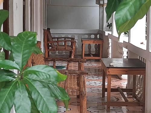 a living room with chairs and tables and a plant at Ames Nungwi in Nungwi