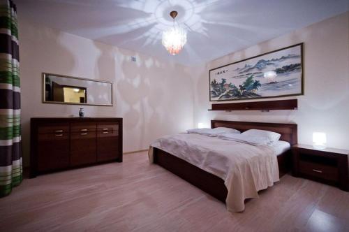 ザコパネにあるApartamenty Karin Zakopaneのベッドルーム(大型ベッド1台、鏡付)