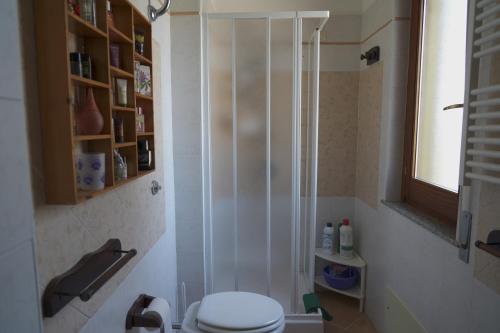ein Bad mit einer Duschkabine und einem WC in der Unterkunft Loft dei Mandorli in Su Forti