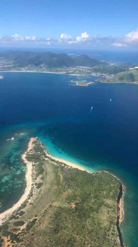アパートメントの近くで見られる自然の景観