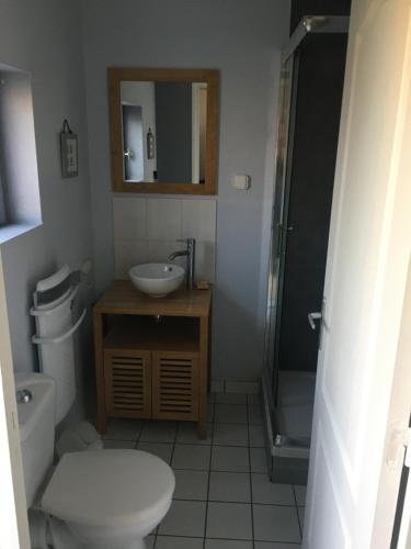 une salle de bain avec toilettes, lavabo et douche dans l'établissement l antre pot, à Arques-la-Bataille
