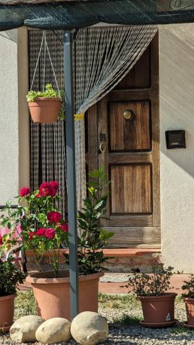 a front door of a house with potted plants at La Quinta Decima Bioagriturismo in Fattoria Spedaletto