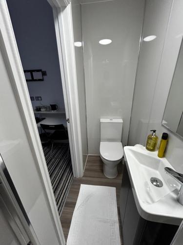 Baño pequeño con aseo y lavamanos en 339 High Town Road, en Luton