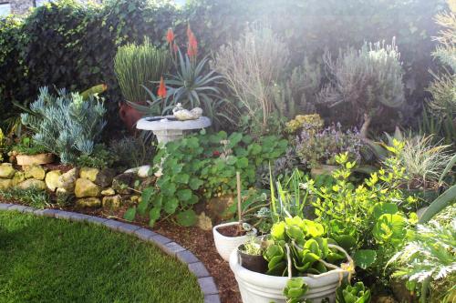 a garden with many plants and a birdbath in it at The Sun Catcher Bed & Breakfast in Struisbaai