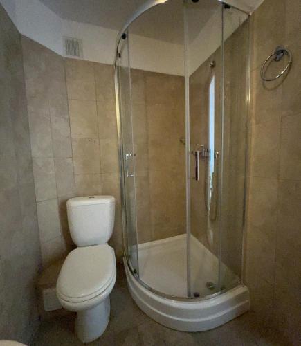 a bathroom with a toilet and a shower at Pensiunea Poiana Izvoarelor in Vatra Dornei
