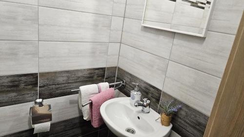 baño con lavabo y toalla rosa en Apartment Andrea, en Smoljanac