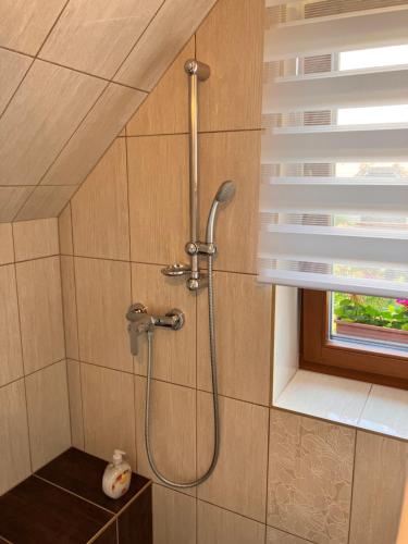 a shower with a shower head in a bathroom at AnnApartman in Badacsonytördemic