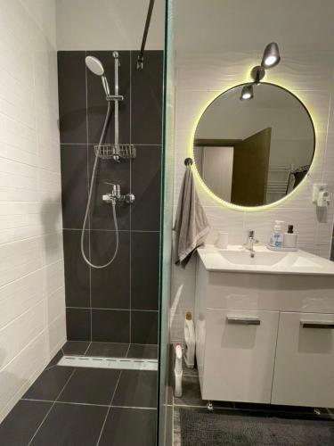 uma casa de banho com um chuveiro, um lavatório e um espelho. em Scandiland Apartment em Brasov