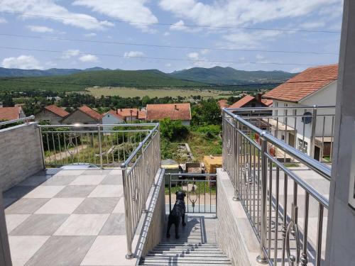 a black dog standing on a balcony looking at a view at Apartman Dakovic in Zlatište