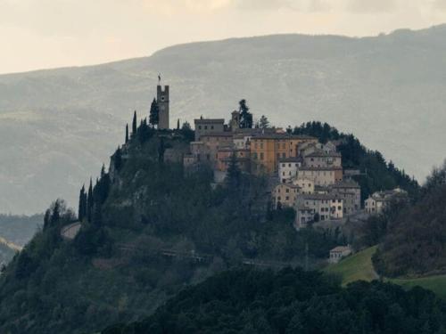 Beautiful Panorama – Photos 4