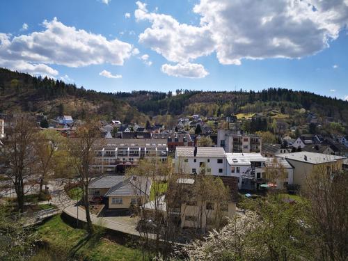 a view of a city with buildings and trees at Ferienwohnung in Waldrandlage in Nationalpark Schleiden / Eifel in Schleiden