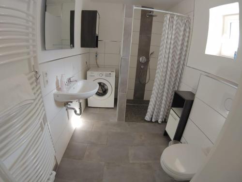 a bathroom with a toilet sink and a washing machine at Ferienhaus im Kirschbäumchen in Osburg