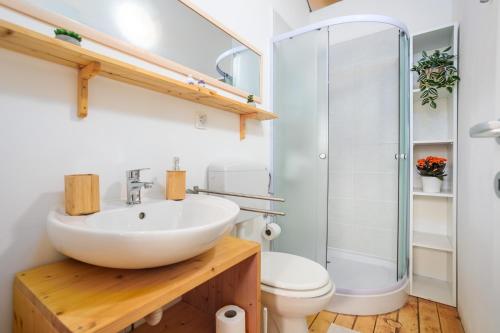 a bathroom with a sink and a shower at Prima insula glamping in Brusići