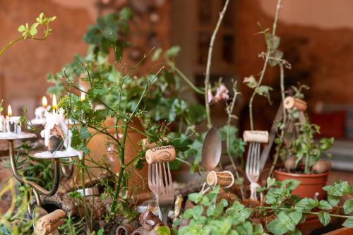 a group of plants with forks and spoons at Pátio Serrano in Rio Maior