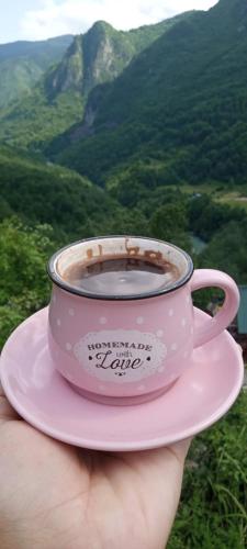 a person holding a cup of coffee in front of a mountain at Family owned self sufficient ECO farm TARA in Pljevlja