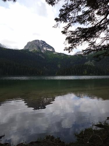 a view of a lake with a mountain in the background at Family owned self sufficient ECO farm TARA in Pljevlja
