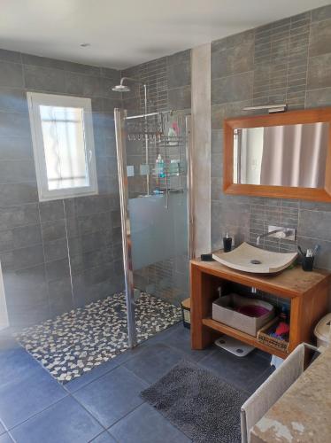 La salle de bains est pourvue d'une douche et d'un lavabo. dans l'établissement Maison dans le Gard, à Saint-Gervasy