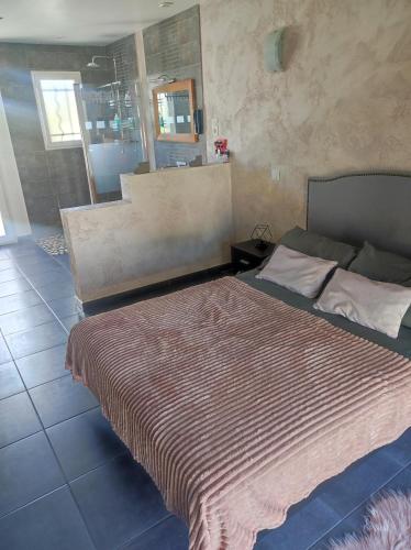 1 dormitorio con cama y espejo grande en Maison dans le Gard, en Saint-Gervasy