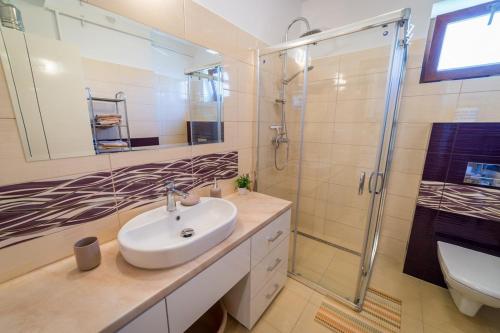 a bathroom with a sink and a shower at Apartament Mewa Mikołajki in Mikołajki