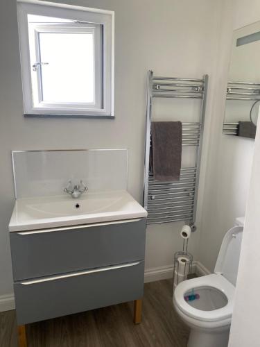 a bathroom with a sink and a toilet and a window at Barn conversion in Perranwell