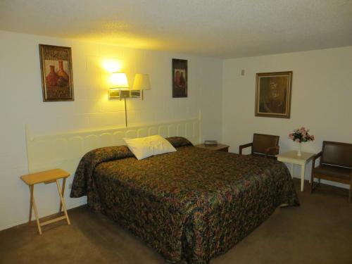 מיטה או מיטות בחדר ב-Holiday Lodge